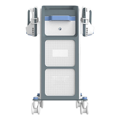 良い値段 スパとフィットネスのための電気筋刺激装置 オンライン