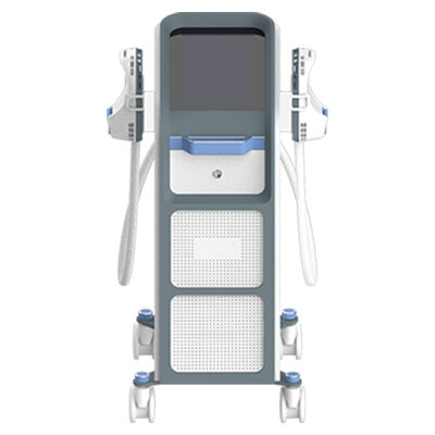 良い値段 筋肉構築 ハイEMT マシン 1-100 Hz 周波数 EMS 腹脂肪 オンライン
