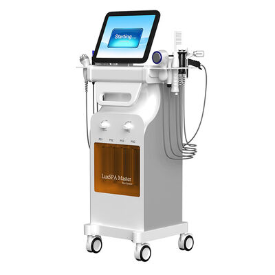良い値段 15 inch Touch Screen Oxygen Jet Polar RF Plasma Blackhead Removal Hydro Dermabrasion Machine オンライン