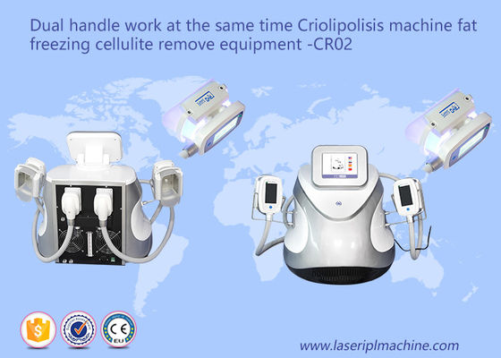 良い値段 ハンドルの脂肪質の凍結のセルライトの減量機械CR02 110v/220vは二倍になります オンライン