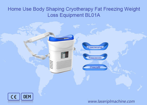 良い値段 機械を細くする減量脂肪質の凍結のCryolipolysis オンライン