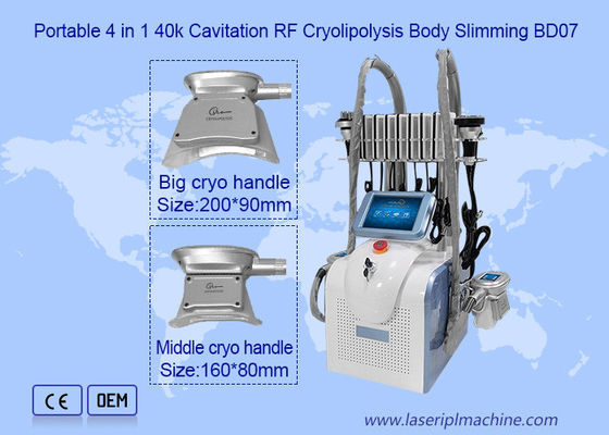 良い値段 機械を細くする2ハンドル650nm 1mhz Cryolipolysis オンライン