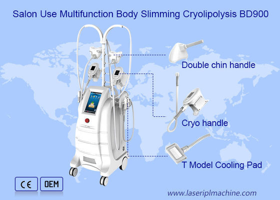 良い値段 機械を細くする大広間の減量800VA Cryolipolysis オンライン