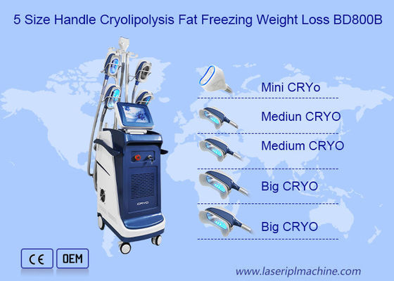 良い値段 機械を細くしている360角度縦の二重顎Cryolipolysis オンライン