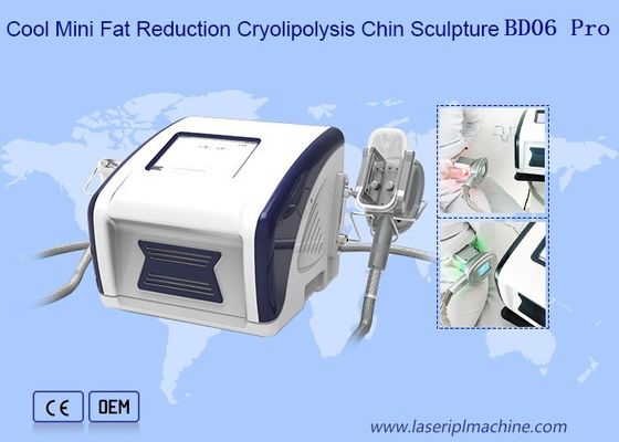 良い値段 機械を細くする12V涼しい小型脂肪質の減少Cryolipolysis オンライン